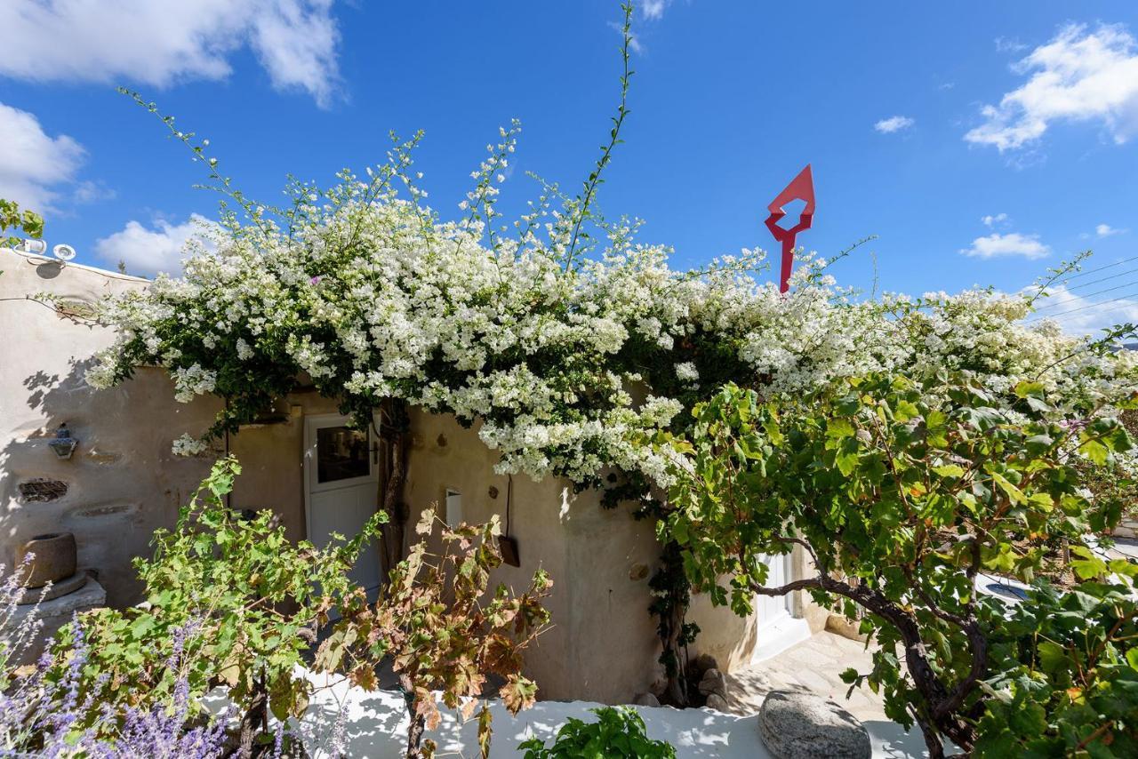 The Olive Mill Guest House Lefkes  Exterior photo