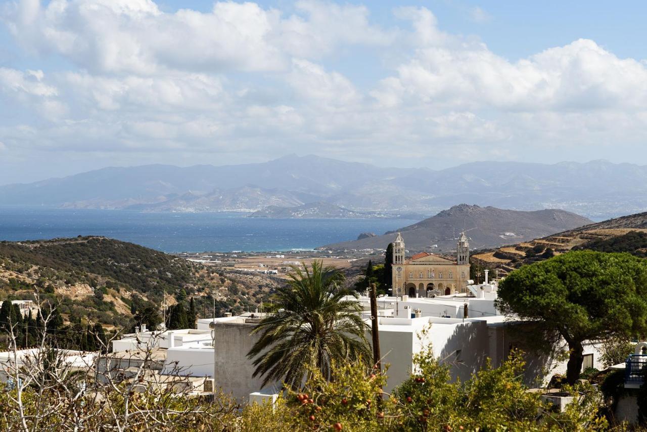 The Olive Mill Guest House Lefkes  Exterior photo