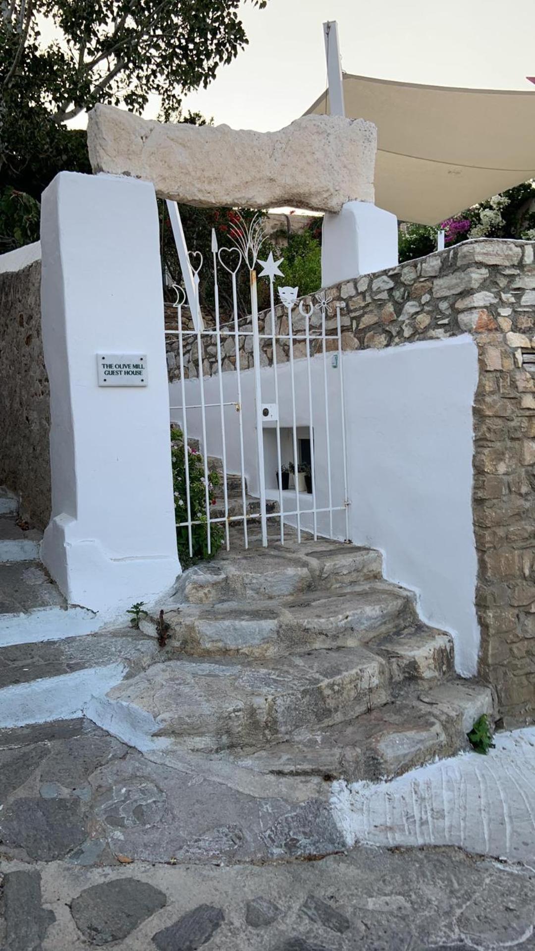 The Olive Mill Guest House Lefkes  Exterior photo